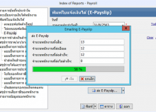 โปรแกรมเงินเดือน และค่าแรง EASY-ACC PAYROLL